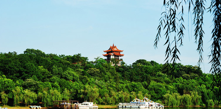 宜兴制陶/太极洞探险/采茶制茶/天目湖亲子游