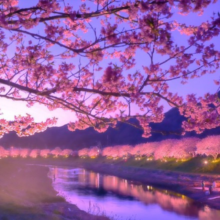中原国旅——节后错高峰游，价格更优惠